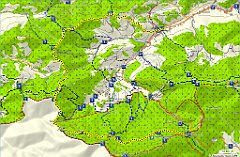 2012_08_20 Krowiarki - Jalowiec